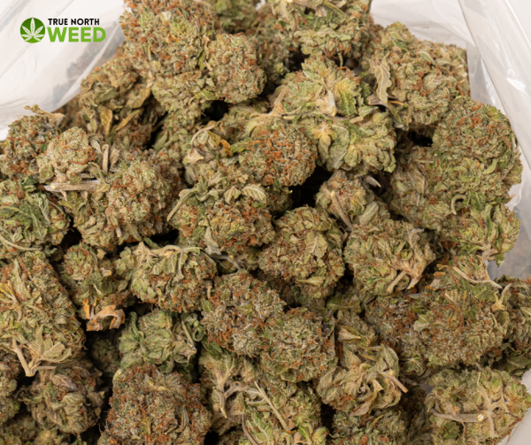 Orange kush - Image 2