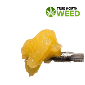 Ice Cream Runtz Live Resin – Creamy Hybrid Concentrate with Potent Effects