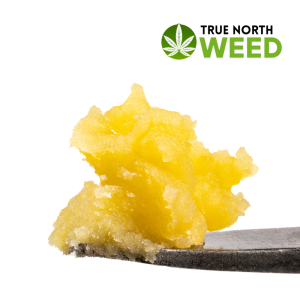 Biscotti Cake Live Resin Badder