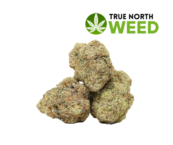 Gorilla Glue - Image 2