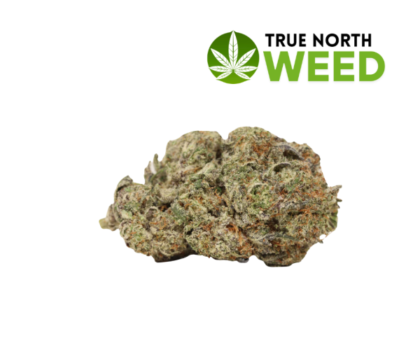 Gorilla Glue