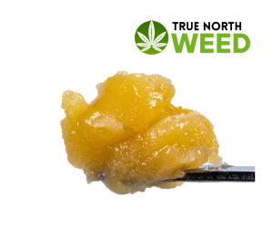 Raspberry Parfait Live Resin Badder – Sativa Dab with Citrus & Berry Flavor